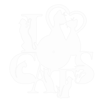 Desain I CATS lettering